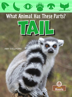 cover image of Tail